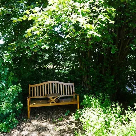 Das Tiny House Im Kleinen Waldchen * Sonsbeck