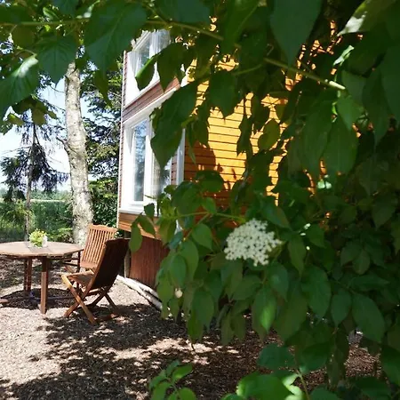 Das Tiny House Im Kleinen Waldchen *