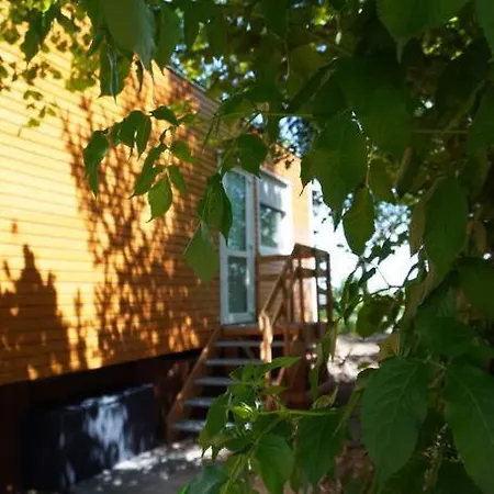 Das Tiny House Im Kleinen Waldchen